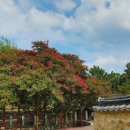 고려동유적지 이미지