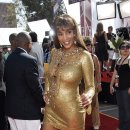 폭스(fox) 이미지