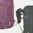 벨로시티 이미지