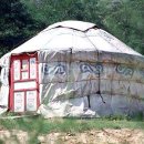 바른개 생활 이미지