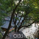 백제헬스케어 이미지