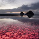 꽃지노을 이미지