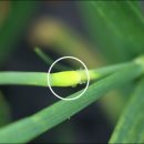 주아농장 이미지