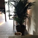 WICKER PARK(위커파크)
