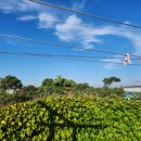 소담이네 돌집 이미지