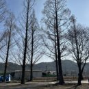 담양골아구찜