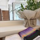 영천 참붕어 | 임신 32주차 대구 카페 산책과 독서로 보낸 한 주☕📚｜2026 WK11