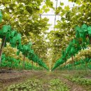 화동축산 이미지