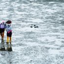 바다갯벌펜션민박 이미지