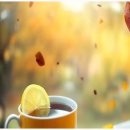 여유로운 아침의 클래식 산책 이미지