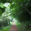 행여나목장 이미지