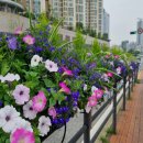 시흥대로 이미지