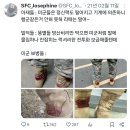 미군은 행군을 안한다 이미지