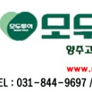 (레드라인단독) 제6차 -여수세계박람회 1박 2일 여행 - 5월 29일출발 이미지