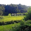 도화리농장 이미지