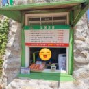 팜카밀레 이미지