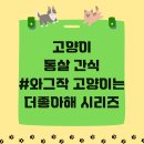 닭 씨리즈 | 고양이 간식 와그작 고양이는 더 좋아해 시리즈 닭가슴살 오리가슴살 가다랑어 냠냠 후기