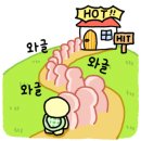 일기쿡