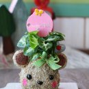 감천초교병설유치원 이미지