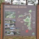 강화군 티앤림 자연휴양림 이미지