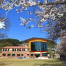 마암초등학교 이미지