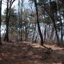 개미낚시터 이미지