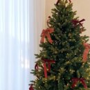 스테이 소롯 이미지