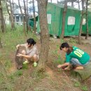 솔방울 펜션 이미지