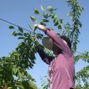 유구농장 이미지