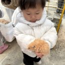 나음펫 | 담양 아이랑 갈만한 곳 “플레이 펫” 솔직후기