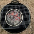 레터스펜션 | 홍천 비발디파크 오션월드 근처 펜션 레터스펜션 숙박 후기