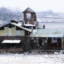 삼일목장 이미지