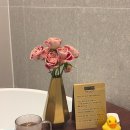 1인세신샵 윤 | 데일리앤스파 | 서울대입구 여성전용 1인 세신샵 후기