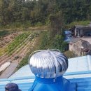 해동상운 이미지