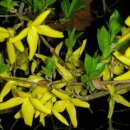 자연의 소리 Ⅱ 이미지