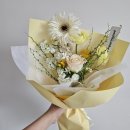 쁘띠 보네르