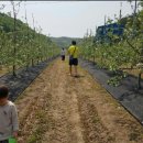 별빛촌 성재농장 이미지