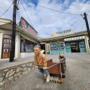 장생포고래로 이미지