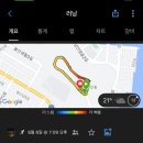 하울참옻닭