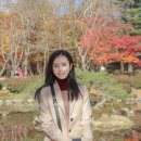강남24호자판기 | 경주여행 #2 석굴암과 불국사, 경북 드라이브코스