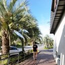 더비비스제주(The BB's JEJU) 이미지