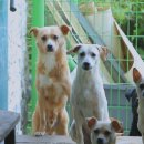 유일모텔 이미지