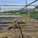 재욱농장 이미지