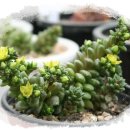 파랑새농장 이미지