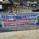 호미반도해안둘레길 선바우길 이미지