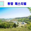 칠산레저 | 5월 국내 여행지 추천 보성 통합페스티벌 후기~
