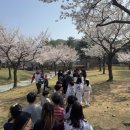 용인대 국가대표 엘리트 태권도장 이미지
