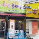 애견풀하우스 이미지