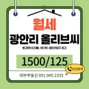 박씨공인중개사사무소 | 광안리 월세, 바다뷰가 멋드러진 쓰리룸 오피스텔 올리브씨