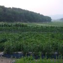 다은농장 이미지